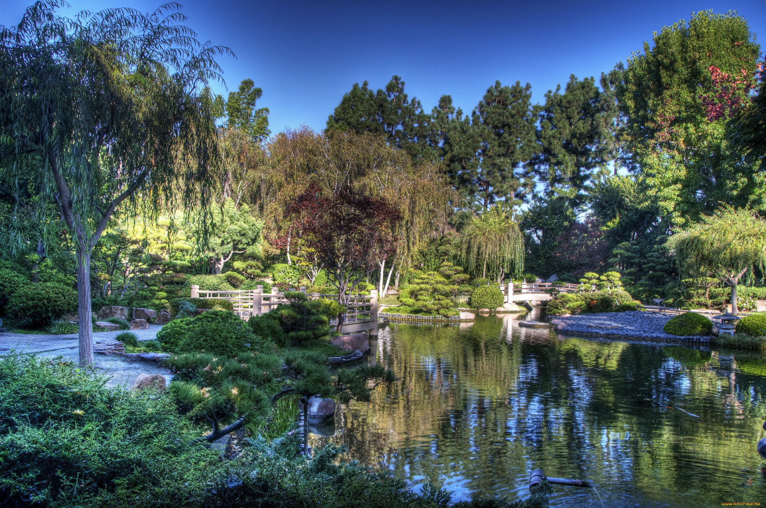 earl, burns, miller, japanese, garden, california, usa, , , 
